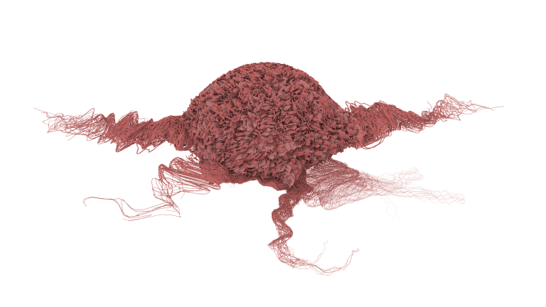Advanced Cancer Biology