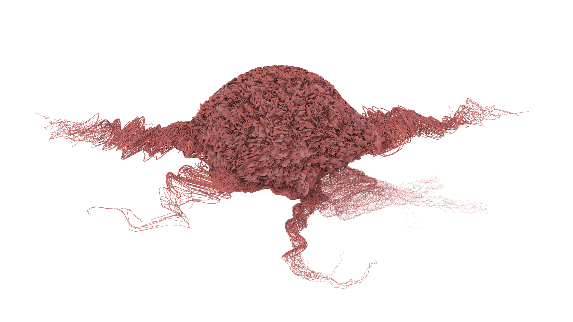 Advanced Cancer Biology