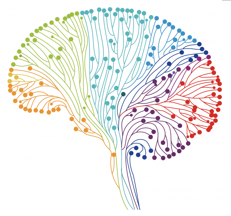 Behavioral Neuroscience & Biopsychology