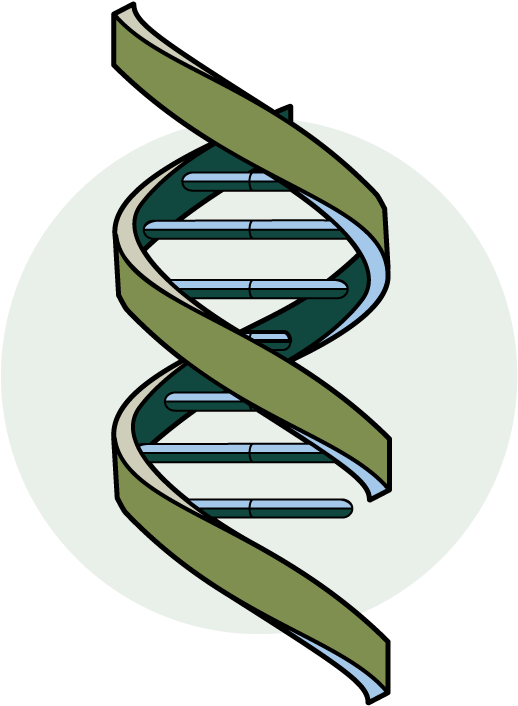 Principles of Omic Technologies